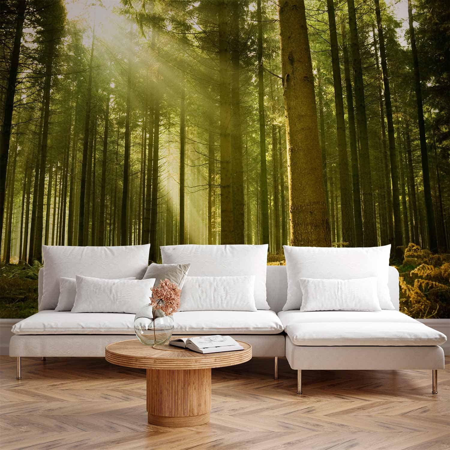 Fototapeta Sosnowy las - gęste leśne poszycie w promieniach porannego słońca 100×70 cm, flizelina standard