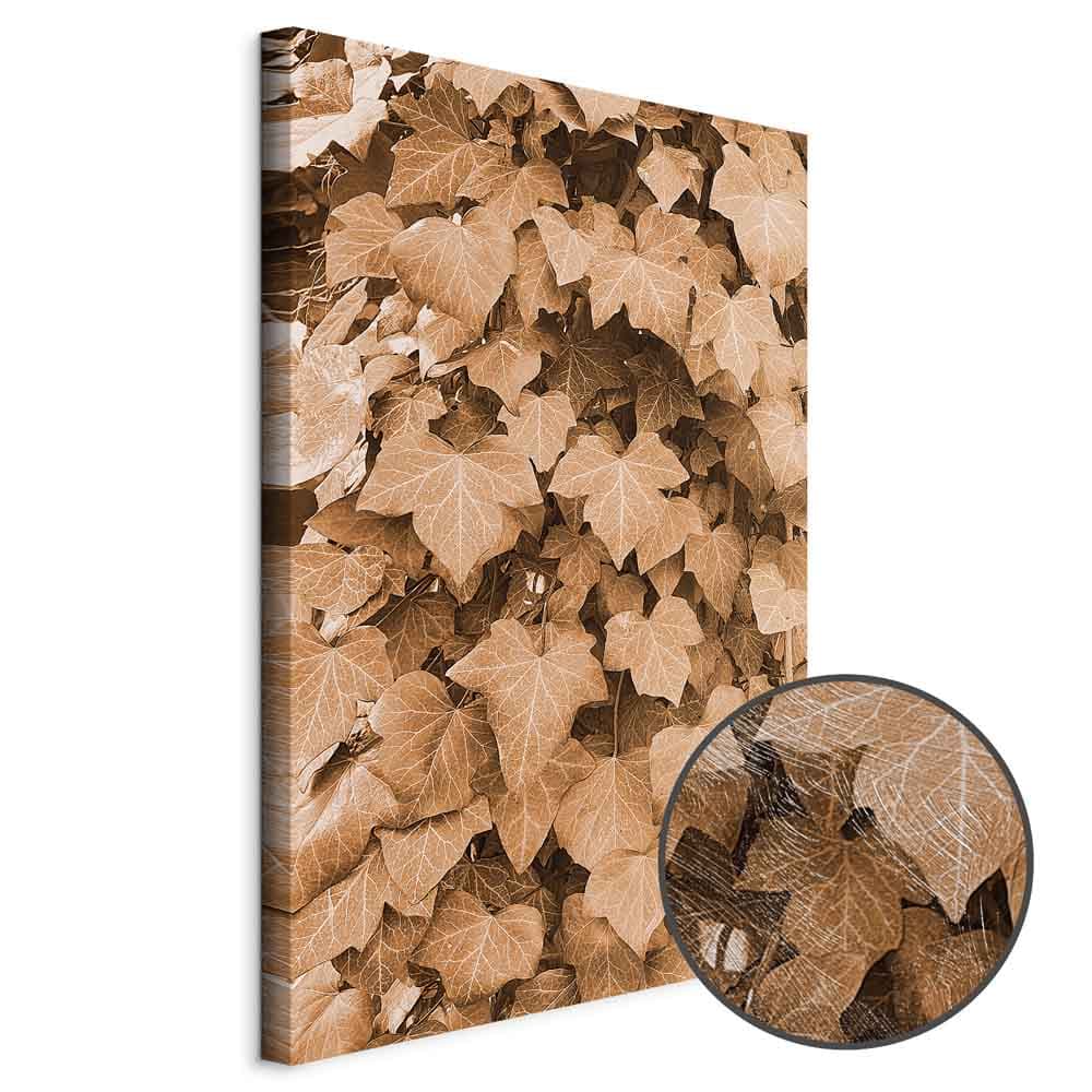 Leinwandbild Jesienny bluszcz 80×120 cm, Standardleinwand