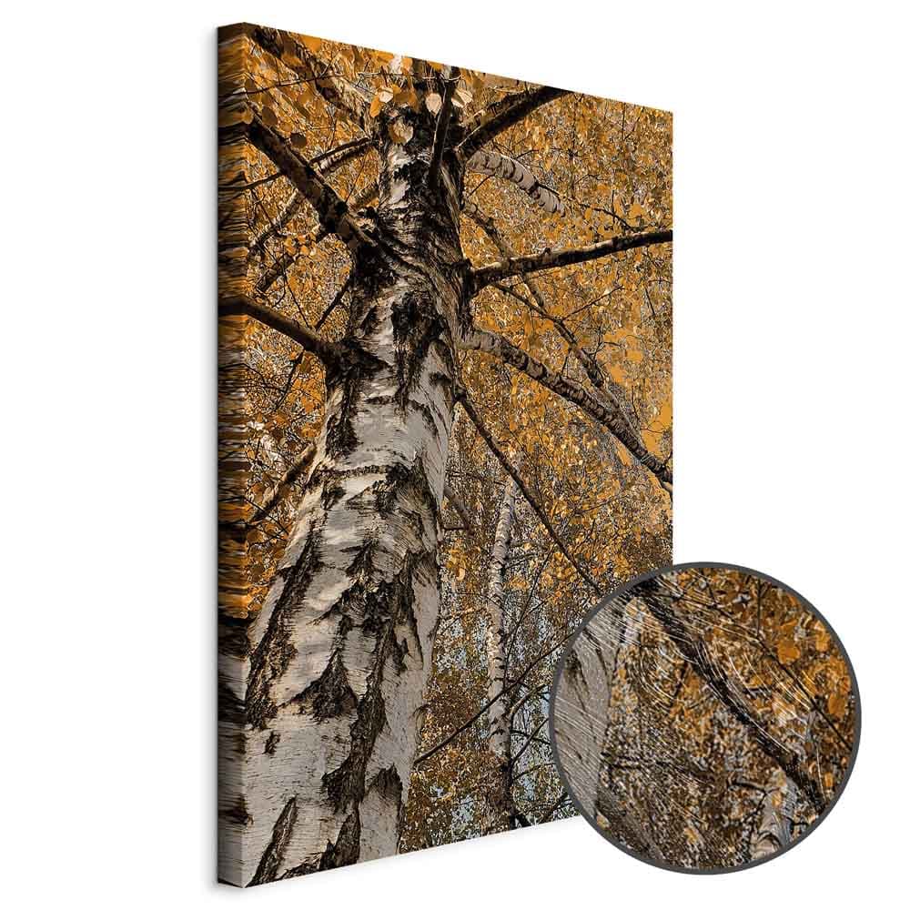 Картина на холсте Jesienna kolorystyka 80×120 см, стандартный холст