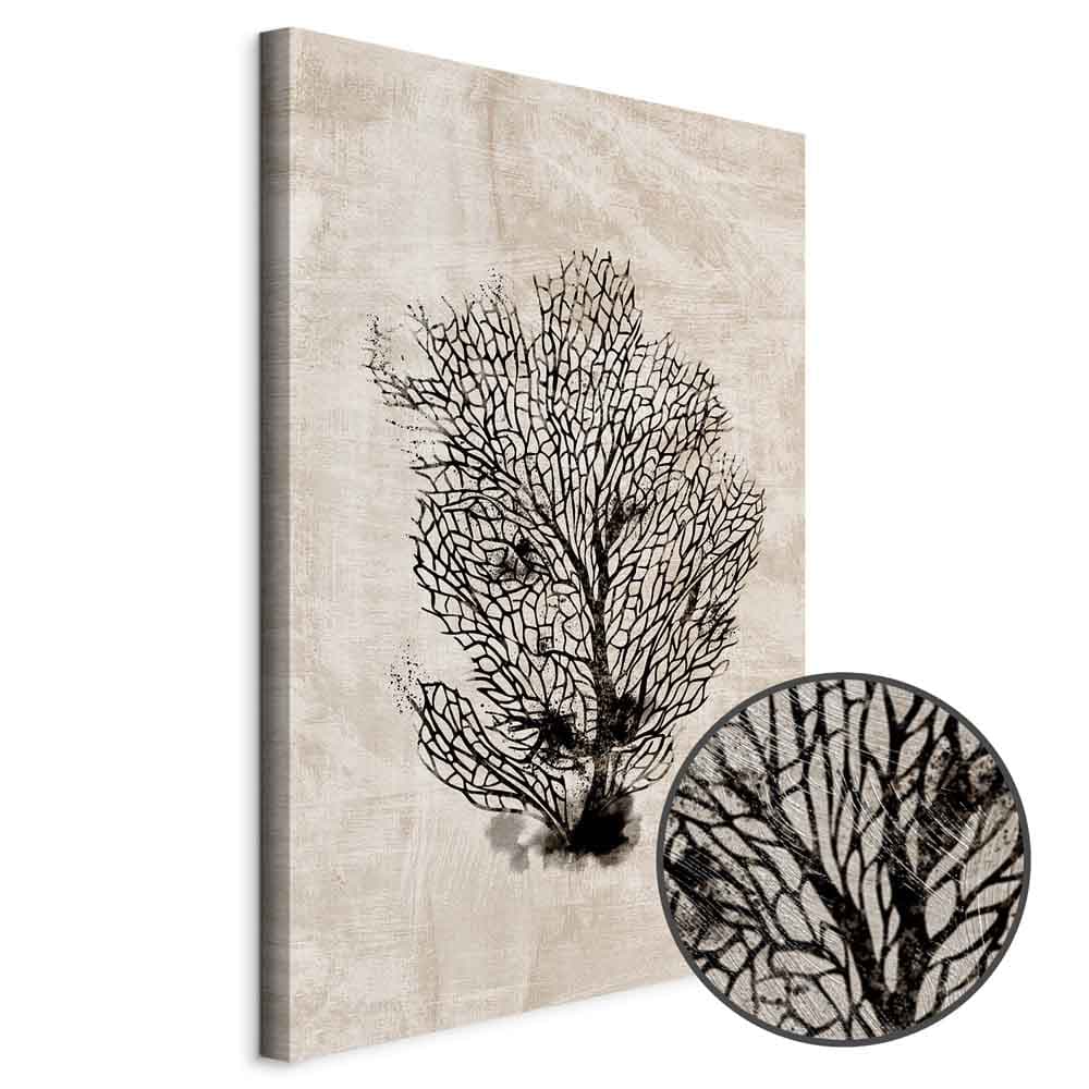 Leinwandbild Morski wachlarz 20×30 cm, Standardleinwand