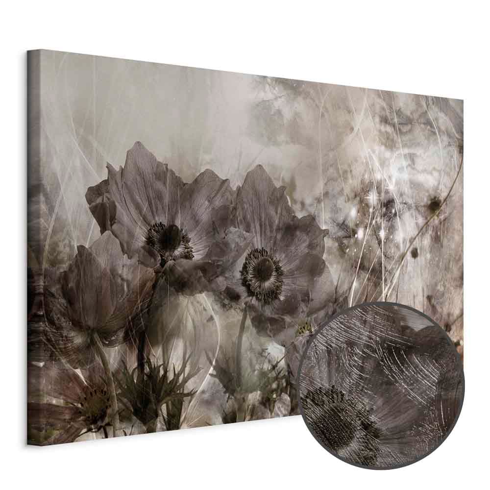 Leinwandbild Anemony w sepii szeroki 60×40 cm, Standardleinwand