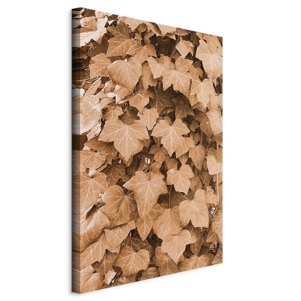 Leinwandbild Jesienny bluszcz 20×30 cm, Standardleinwand