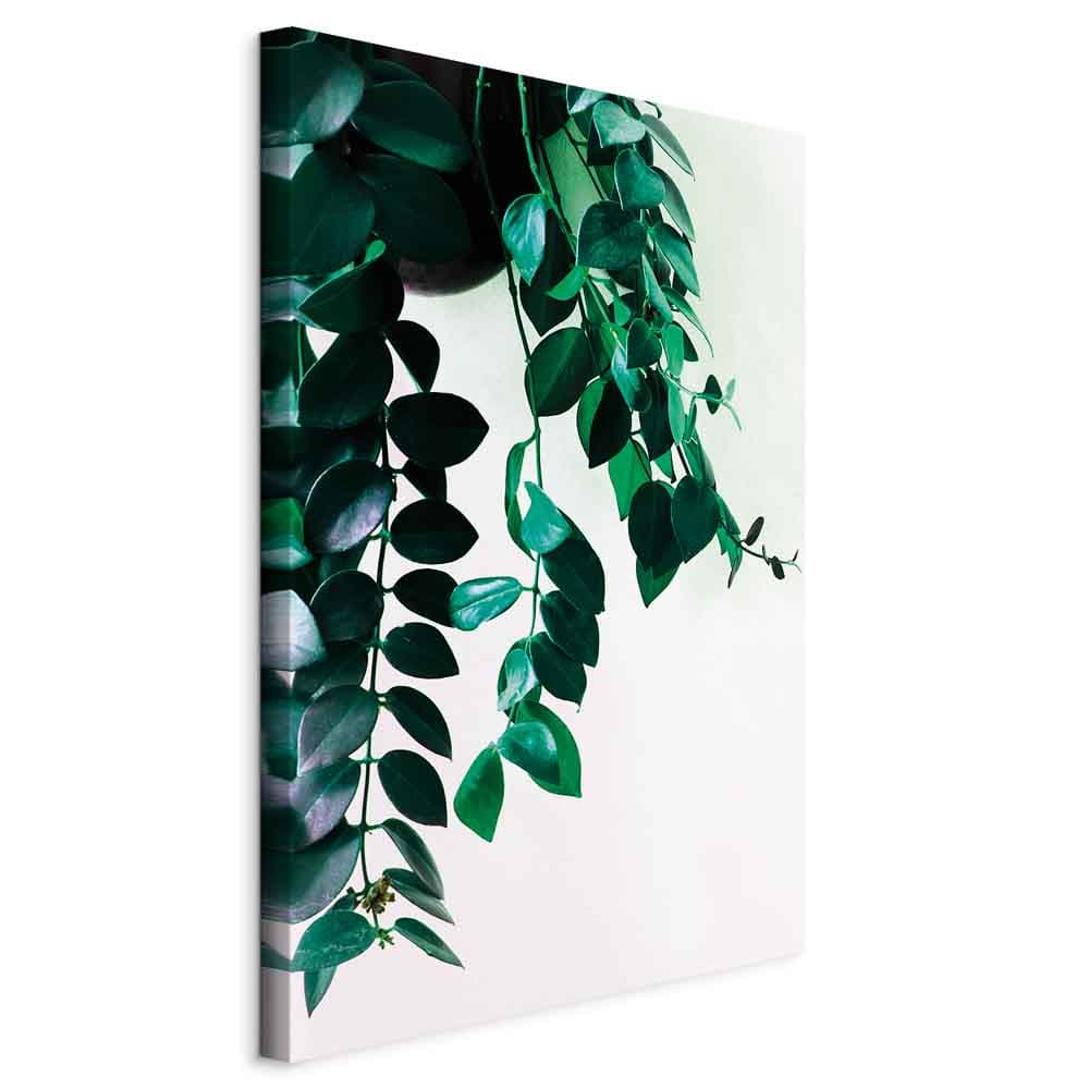 Leinwandbild Korale natury 80×120 cm, Standardleinwand