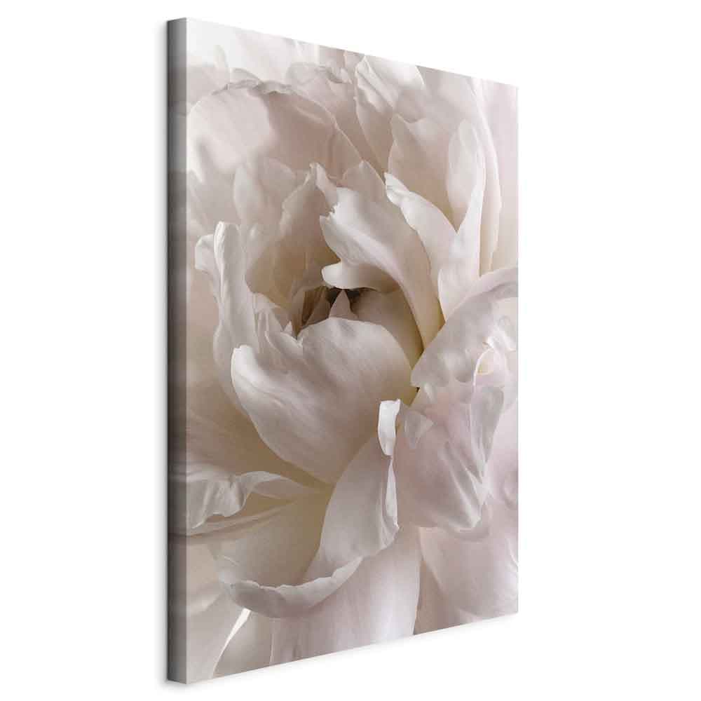 Canvas print Puszyste roztargnienie 60×90 cm, Italian canvas