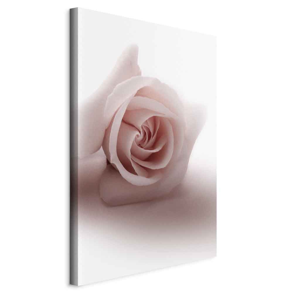 Canvas print Kwiatowy blask glamour - delikatna i pastelowa róża 60×90 cm, standard canvas