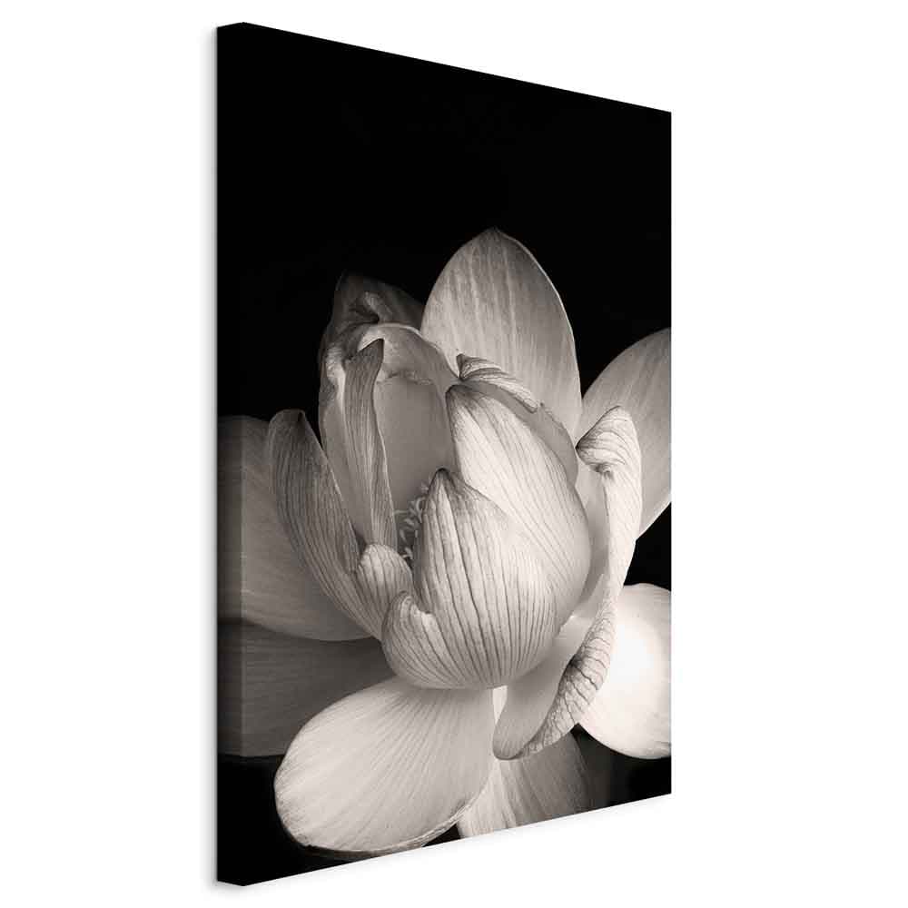 Leinwandbild Delikatność płatków w naturze - kwiat w czerni i bieli 60×90 cm, italienische Leinwand