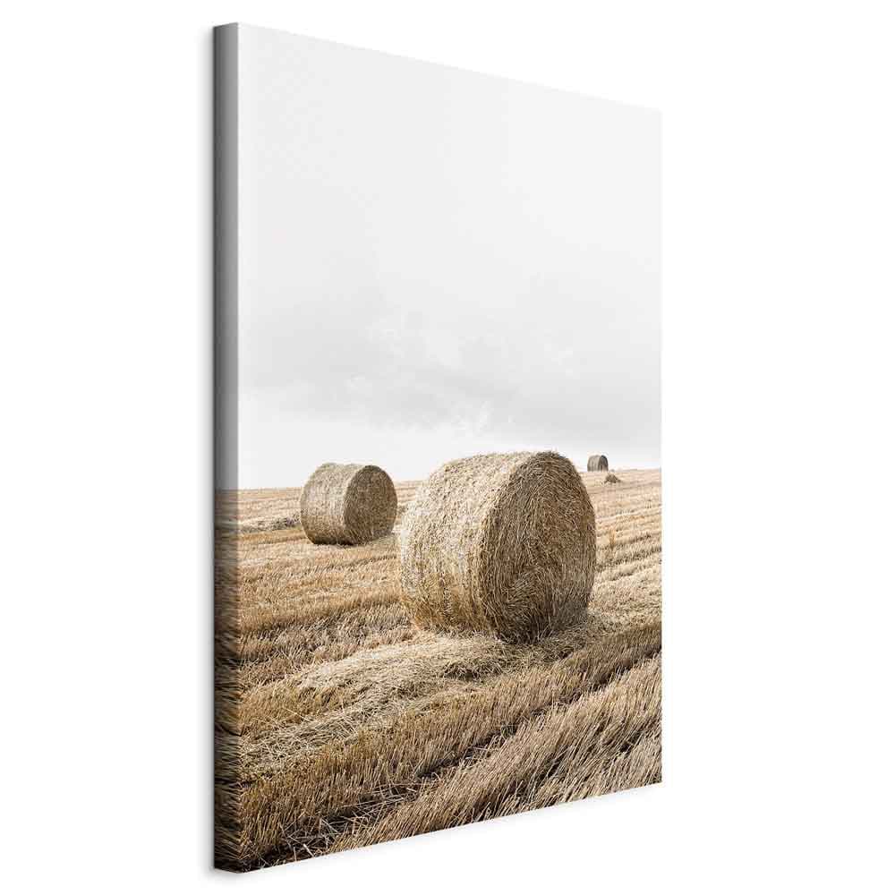 Obraz na płótnie Siano 40×60 cm, płótno włoskie