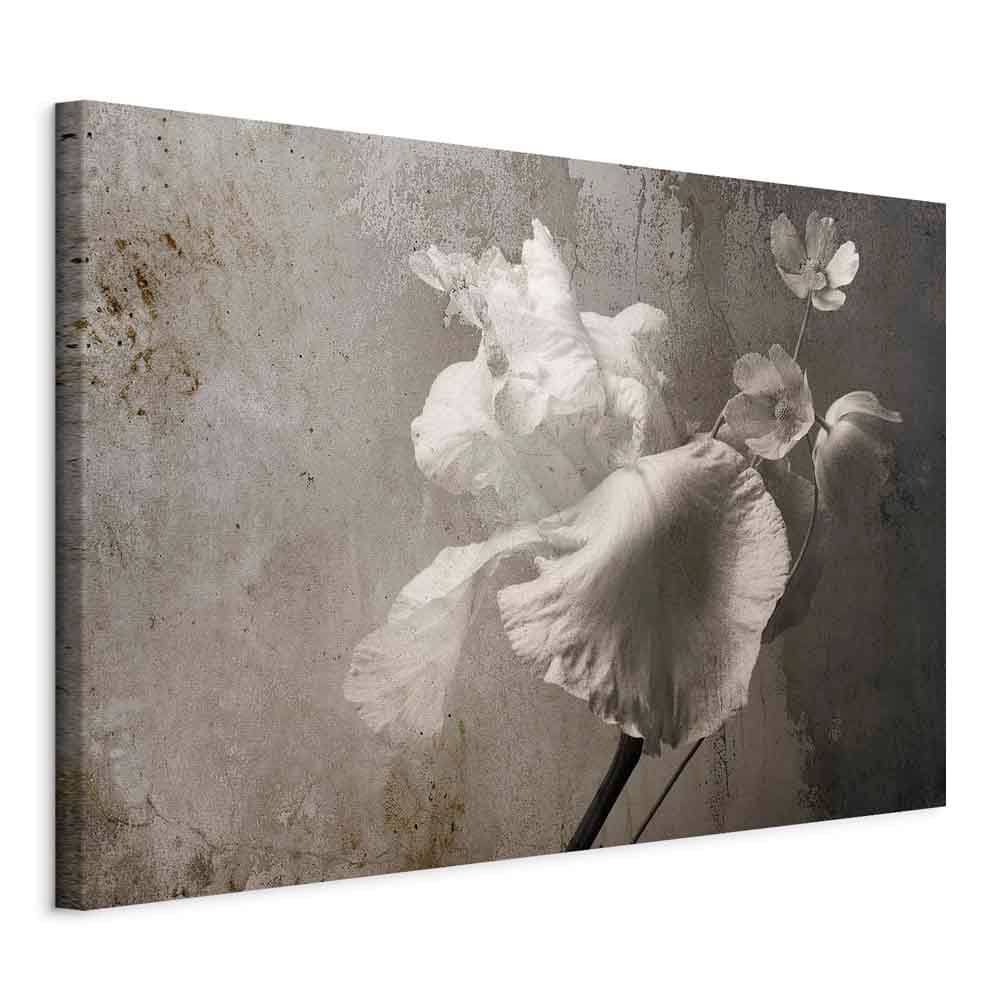 Canvas print Wenecki blask szeroki 30×20 cm, standard canvas