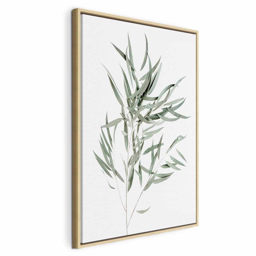 Leinwandbild Eukaliptus Nicholii 40×60 cm, Standardleinwand