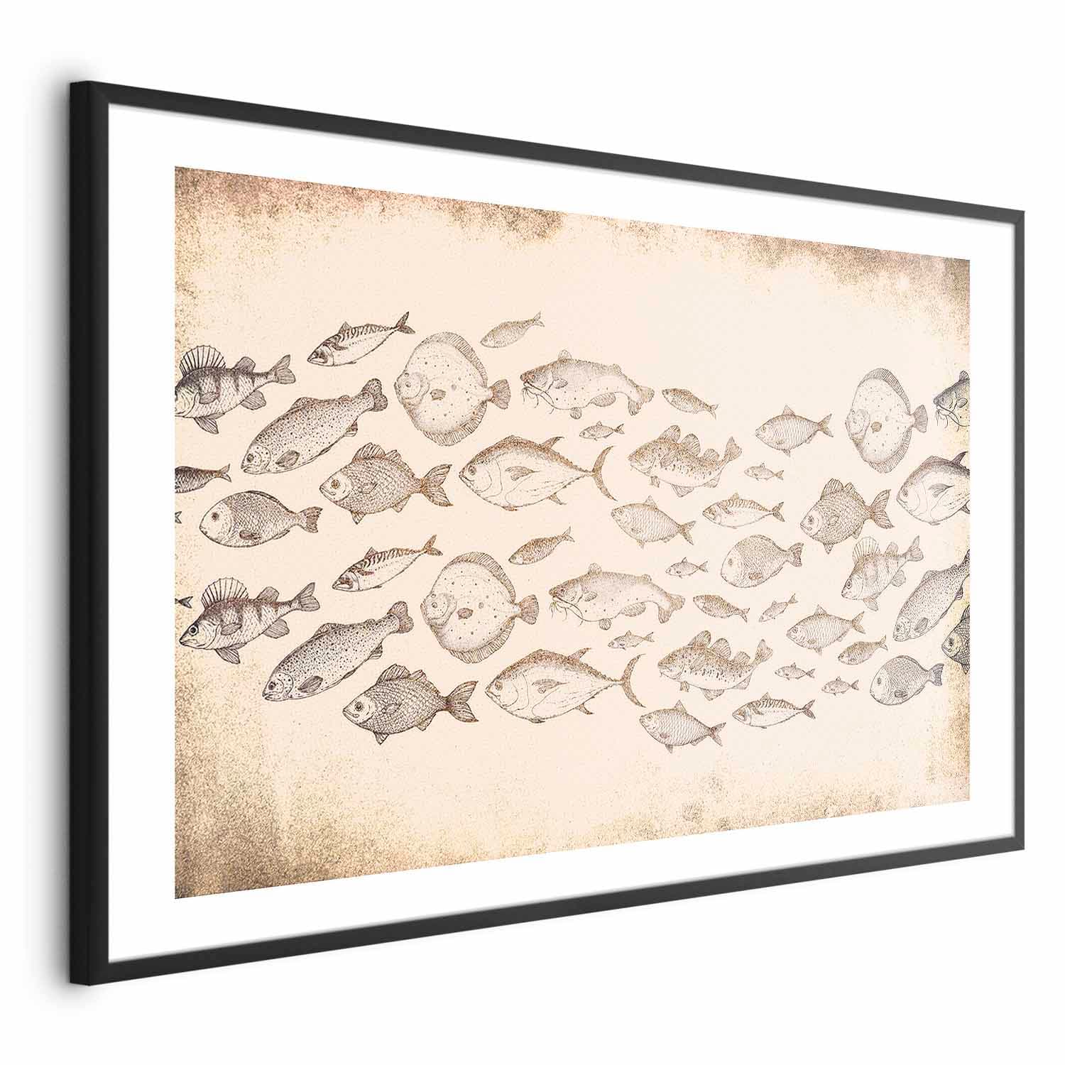 Plakat Subtelne rybki 60×40 cm